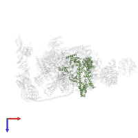 Transcription elongation factor SPT6 in PDB entry 7oop, assembly 1, top view.