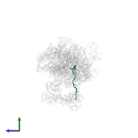 RNA in PDB entry 7oop, assembly 1, side view.