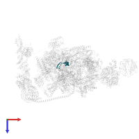 RNA in PDB entry 7oop, assembly 1, top view.