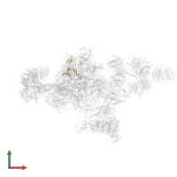 RNA polymerase-associated protein LEO1 in PDB entry 7oop, assembly 1, front view.