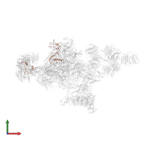 RNA polymerase II-associated factor 1 homolog in PDB entry 7oop, assembly 1, front view.