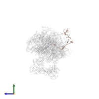 RNA polymerase II-associated factor 1 homolog in PDB entry 7oop, assembly 1, side view.