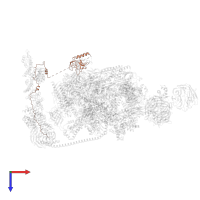 RNA polymerase II-associated factor 1 homolog in PDB entry 7oop, assembly 1, top view.