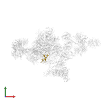 DNA-directed RNA polymerases I, II, and III subunit RPABC2 in PDB entry 7oop, assembly 1, front view.