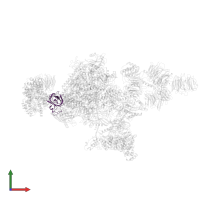 DNA-directed RNA polymerases I, II, and III subunit RPABC3 in PDB entry 7oop, assembly 1, front view.