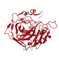 The deposited structure of PDB entry 7orq contains 1 copy of Pfam domain PF00194 (Eukaryotic-type carbonic anhydrase) in Carbonic anhydrase 2. Showing 1 copy in chain A [auth AAA].