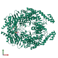 Homo dimeric assembly 1 of PDB entry 7ou4 coloured by chemically distinct molecules, front view.