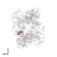 ADENOSINE-5'-DIPHOSPHATE in PDB entry 7ou4, assembly 1, side view.