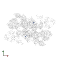 Photosystem II 5 kDa protein, chloroplastic in PDB entry 7oui, assembly 1, front view.