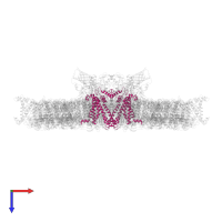 Photosystem II protein D1 in PDB entry 7oui, assembly 1, top view.