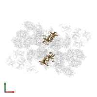 Photosystem II D2 protein in PDB entry 7oui, assembly 1, front view.