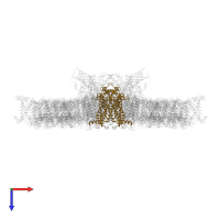 Photosystem II D2 protein in PDB entry 7oui, assembly 1, top view.