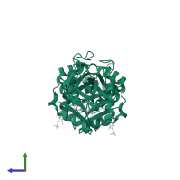 GCN5-related N-acetyltransferase 8 in PDB entry 7ovv, assembly 1, side view.