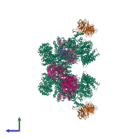 Hetero octameric assembly 1 of PDB entry 7owg coloured by chemically distinct molecules, side view.