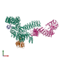 PDB entry 7owg coloured by chain, front view.