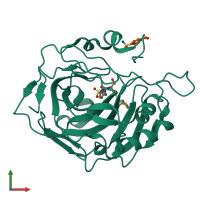 PDB entry 7oyr coloured by chain, front view.