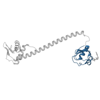 The deposited structure of PDB entry 7oz3 contains 4 copies of Pfam domain PF02080 (TrkA-C domain) in GntR family transcriptional regulator. Showing 1 copy in chain B.