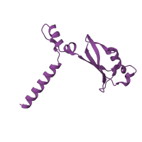 The deposited structure of PDB entry 7ozv contains 1 copy of Pfam domain PF08717 (Coronavirus replicase NSP8) in Non-structural protein 8. Showing 1 copy in chain B.