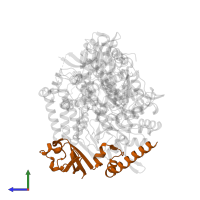 Non-structural protein 8 in PDB entry 7ozv, assembly 1, side view.