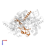 Non-structural protein 8 in PDB entry 7ozv, assembly 1, top view.