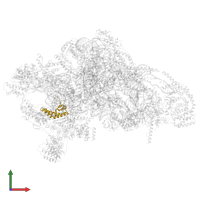 Small ribosomal subunit protein uS14m in PDB entry 7p2e, assembly 1, front view.