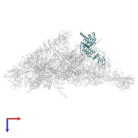 Small ribosomal subunit protein mS22 in PDB entry 7p2e, assembly 1, top view.