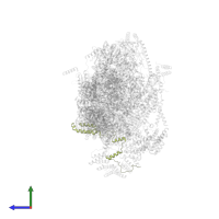 Small ribosomal subunit protein mS31 in PDB entry 7p2e, assembly 1, side view.