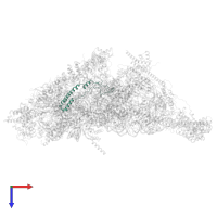 Small ribosomal subunit protein mS37 in PDB entry 7p2e, assembly 1, top view.