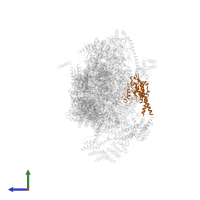 Small ribosomal subunit protein uS2m in PDB entry 7p2e, assembly 1, side view.