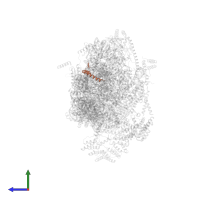 Small ribosomal subunit protein mS38 in PDB entry 7p2e, assembly 1, side view.