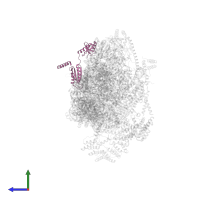 Translation initiation factor IF-3, mitochondrial in PDB entry 7p2e, assembly 1, side view.