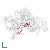 Small ribosomal subunit protein uS5m in PDB entry 7p2e, assembly 1, front view.