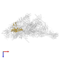 Small ribosomal subunit protein uS7m in PDB entry 7p2e, assembly 1, top view.