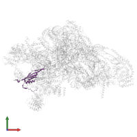 Small ribosomal subunit protein uS10m in PDB entry 7p2e, assembly 1, front view.