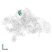 Small ribosomal subunit protein uS11m in PDB entry 7p2e, assembly 1, front view.