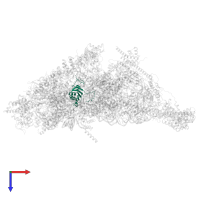 Small ribosomal subunit protein uS11m in PDB entry 7p2e, assembly 1, top view.