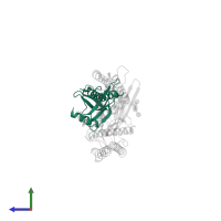 Signal peptidase complex catalytic subunit SEC11C in PDB entry 7p2q, assembly 1, side view.