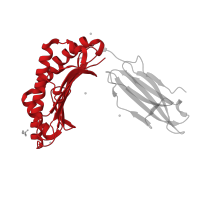 The deposited structure of PDB entry 7p3e contains 2 copies of Pfam domain PF00129 (Class I Histocompatibility antigen, domains alpha 1 and 2) in Ig-like domain-containing protein. Showing 1 copy in chain A.