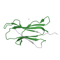 The deposited structure of PDB entry 7p3e contains 2 copies of Pfam domain PF07654 (Immunoglobulin C1-set domain) in Beta-2-microglobulin. Showing 1 copy in chain B.