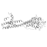 The deposited structure of PDB entry 7p5b contains 1 copy of Pfam domain PF10659 (Trypanosome variant surface glycoprotein C-terminal domain) in Variant surface glycoprotein. Showing 1 copy in chain A (this domain is out of the observed residue ranges!).