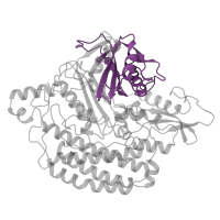 The deposited structure of PDB entry 7p64 contains 1 copy of Pfam domain PF00329 (Respiratory-chain NADH dehydrogenase, 30 Kd subunit) in NADH-quinone oxidoreductase subunit C/D. Showing 1 copy in chain D [auth C].