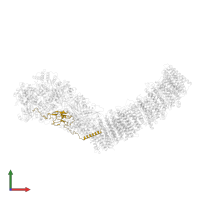 NADH-quinone oxidoreductase subunit I in PDB entry 7p64, assembly 1, front view.