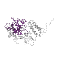 The deposited structure of PDB entry 7p7c contains 1 copy of Pfam domain PF01512 (Respiratory-chain NADH dehydrogenase 51 Kd subunit) in NADH-quinone oxidoreductase subunit F. Showing 1 copy in chain A [auth F].