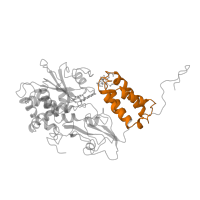 The deposited structure of PDB entry 7p7c contains 1 copy of Pfam domain PF10589 (NADH-ubiquinone oxidoreductase-F iron-sulfur binding region) in NADH-quinone oxidoreductase subunit F. Showing 1 copy in chain A [auth F].