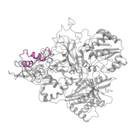 The deposited structure of PDB entry 7p7c contains 1 copy of Pfam domain PF10588 (NADH-ubiquinone oxidoreductase-G iron-sulfur binding region) in NADH-quinone oxidoreductase subunit G. Showing 1 copy in chain C [auth G].