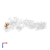 NADH-quinone oxidoreductase subunit E in PDB entry 7p7e, assembly 1, top view.