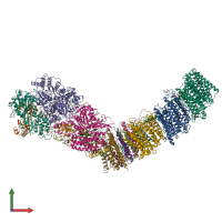 Hetero 13-meric assembly 1 of PDB entry 7p7j coloured by chemically distinct molecules, front view.