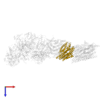 NADH-quinone oxidoreductase subunit N in PDB entry 7p7j, assembly 1, top view.
