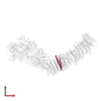 NADH-quinone oxidoreductase subunit K in PDB entry 7p7j, assembly 1, front view.