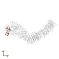NADH-quinone oxidoreductase subunit E in PDB entry 7p7j, assembly 1, front view.